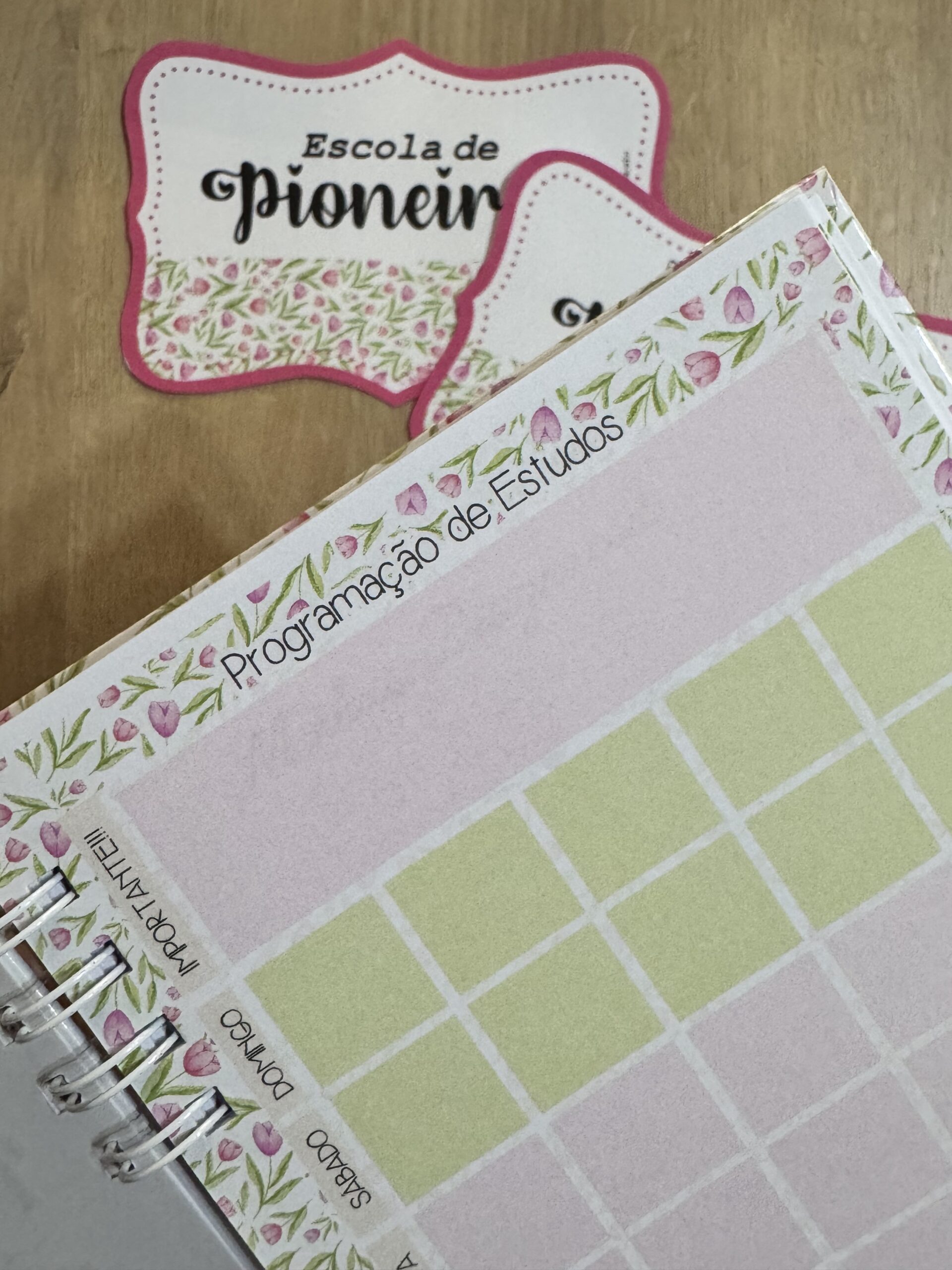 Caderno de Escola para Pioneiros 2026 - Imagem 5