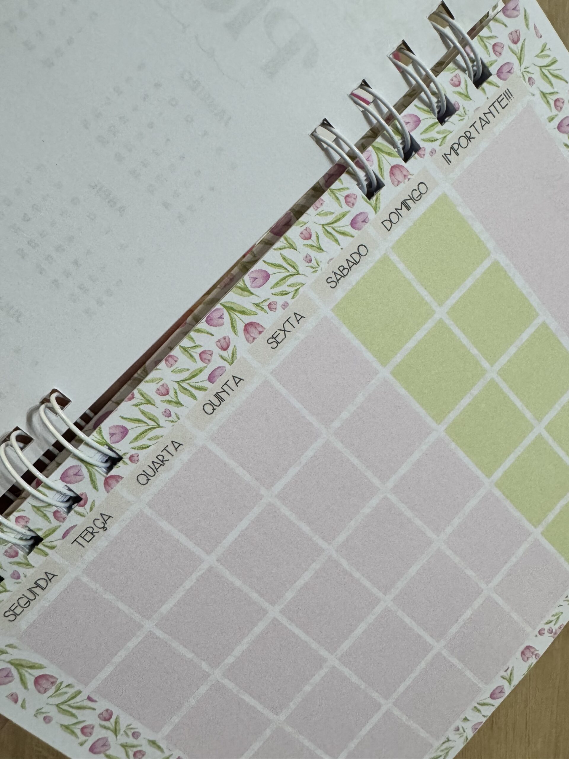 Caderno de Escola para Pioneiros 2026 - Imagem 6