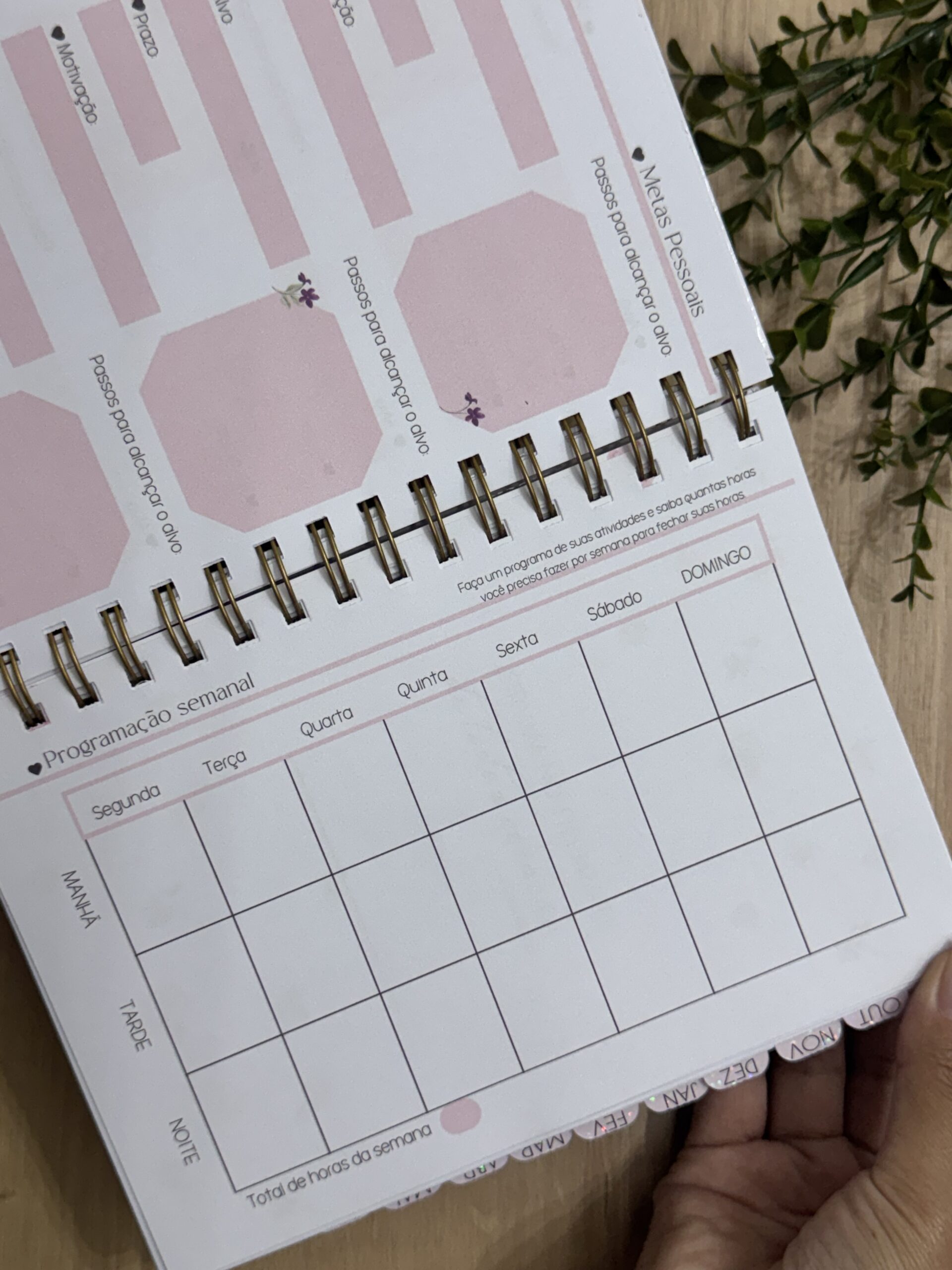 Best Planner Teocrático Permanente 2026-2027 - Imagem 15