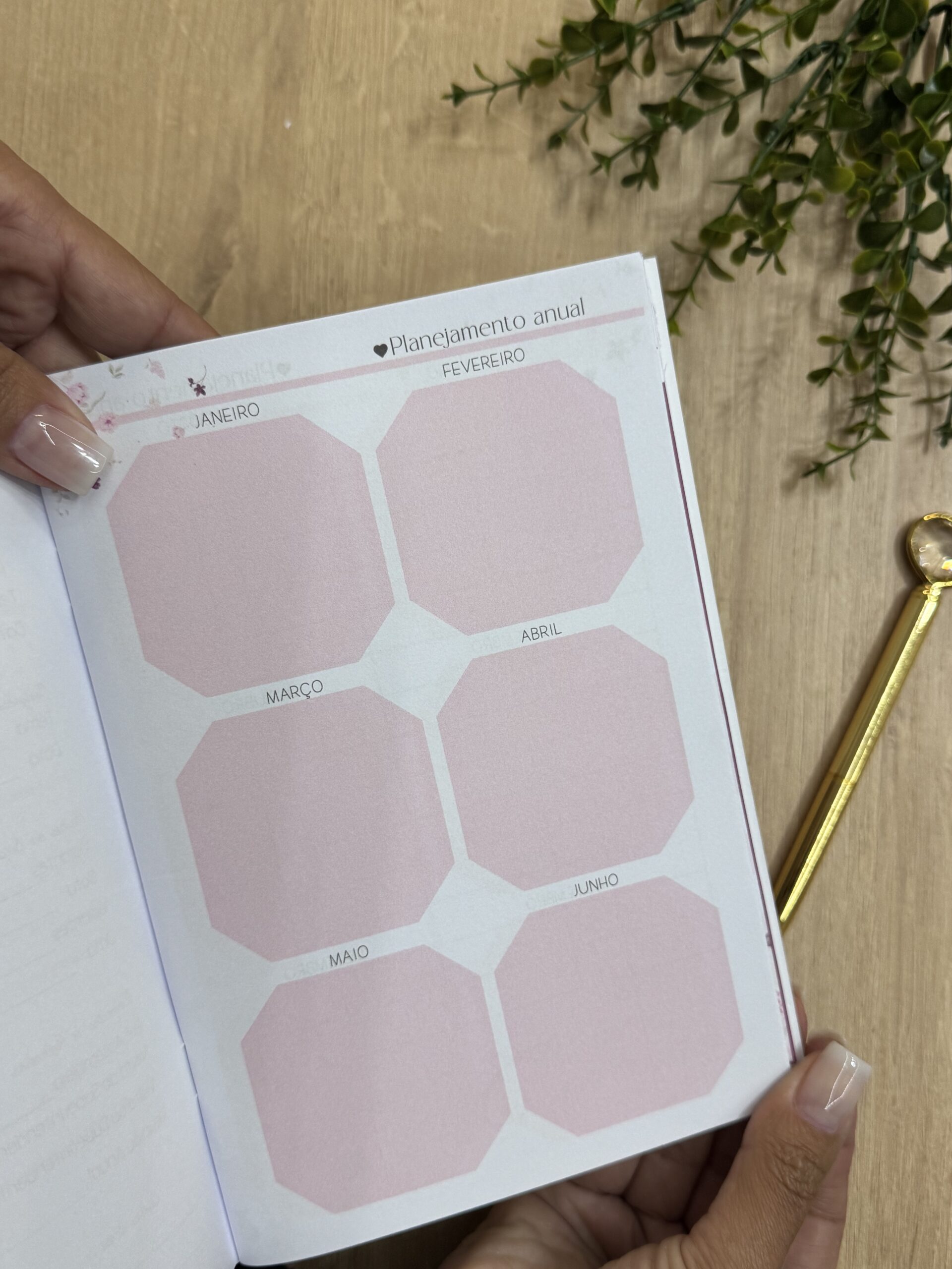 Planner Livreto Teocrático - Imagem 5