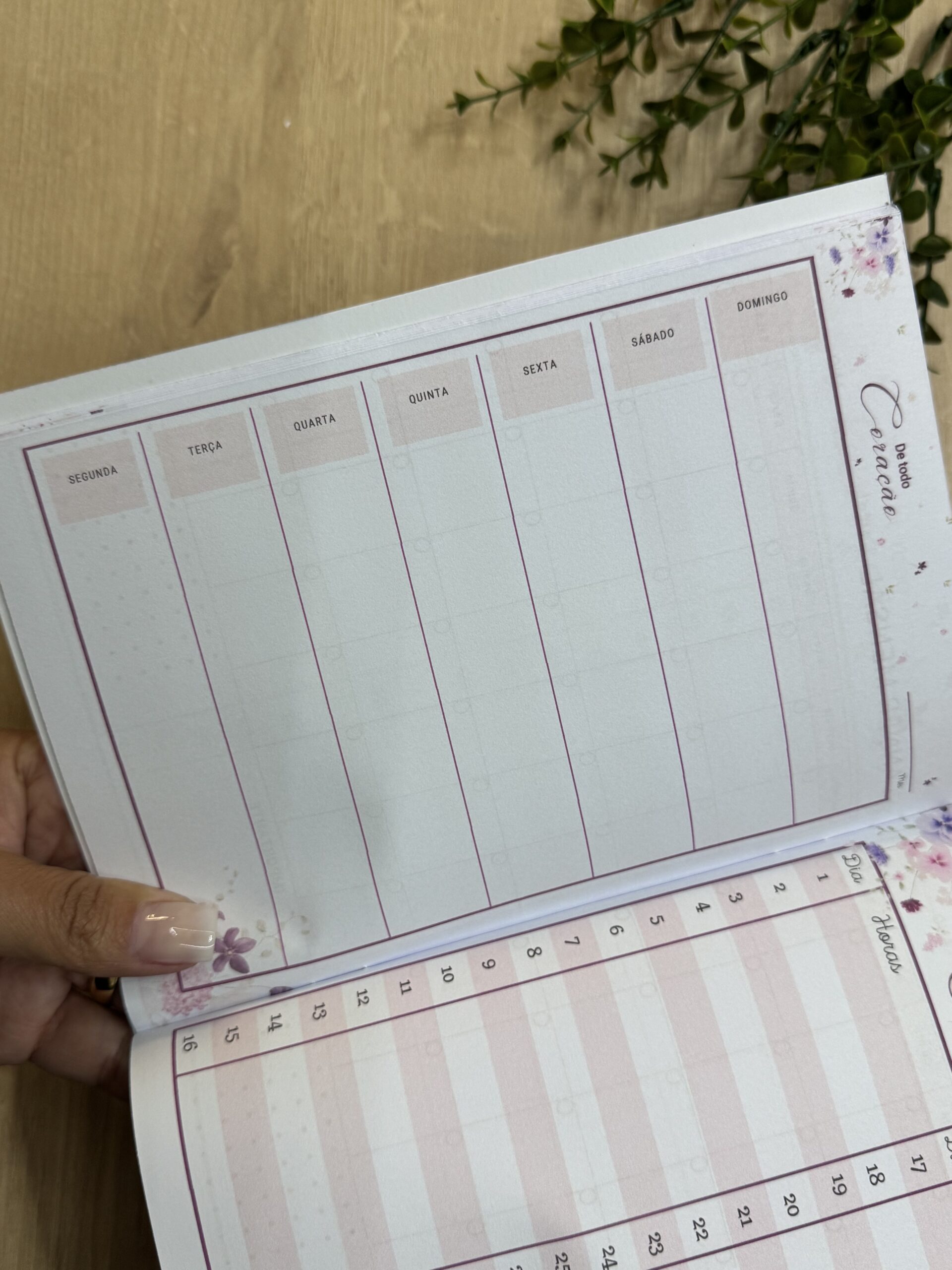 Planner Livreto Teocrático - Imagem 14