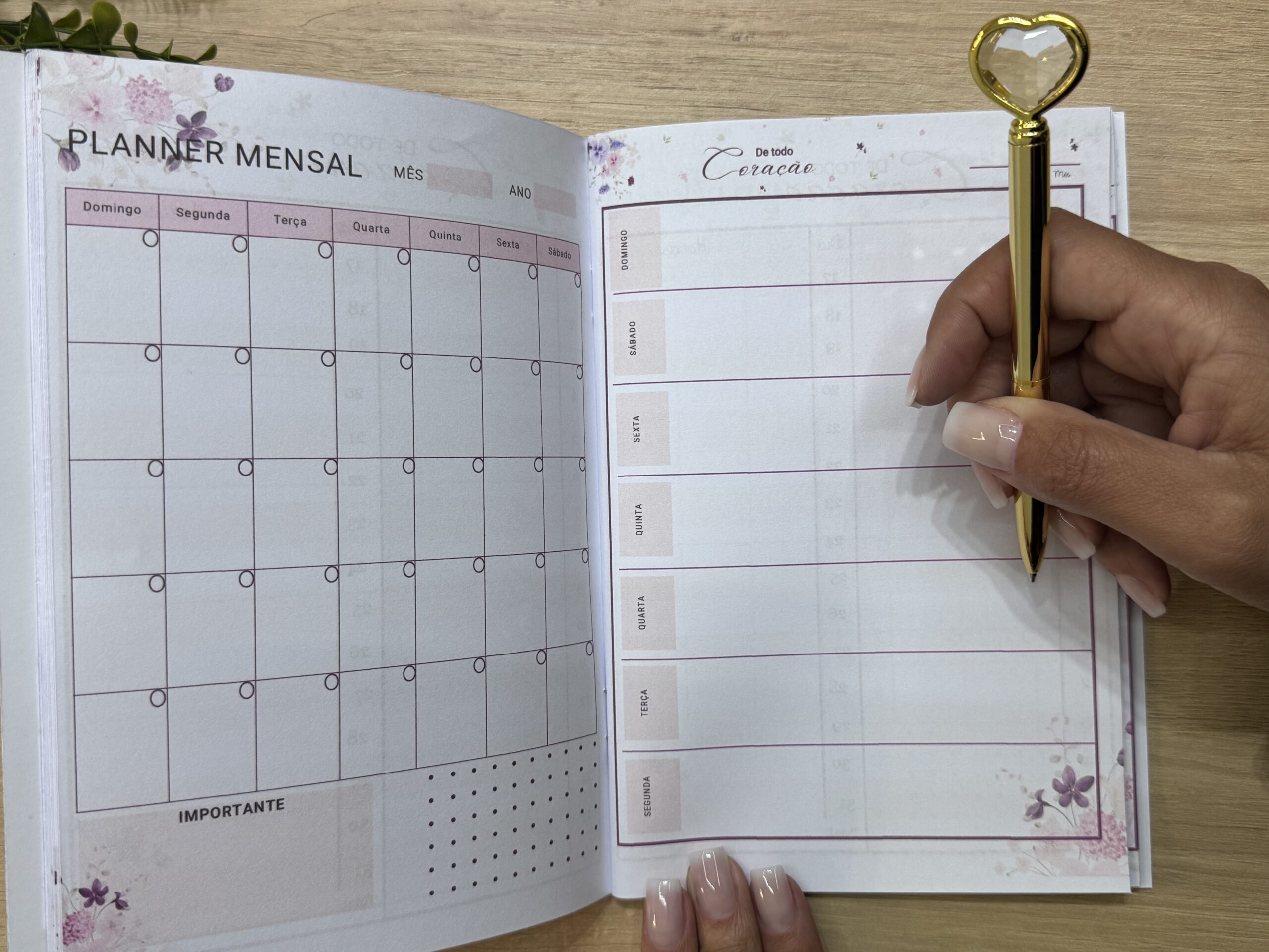 Planner Livreto Teocrático - Imagem 15