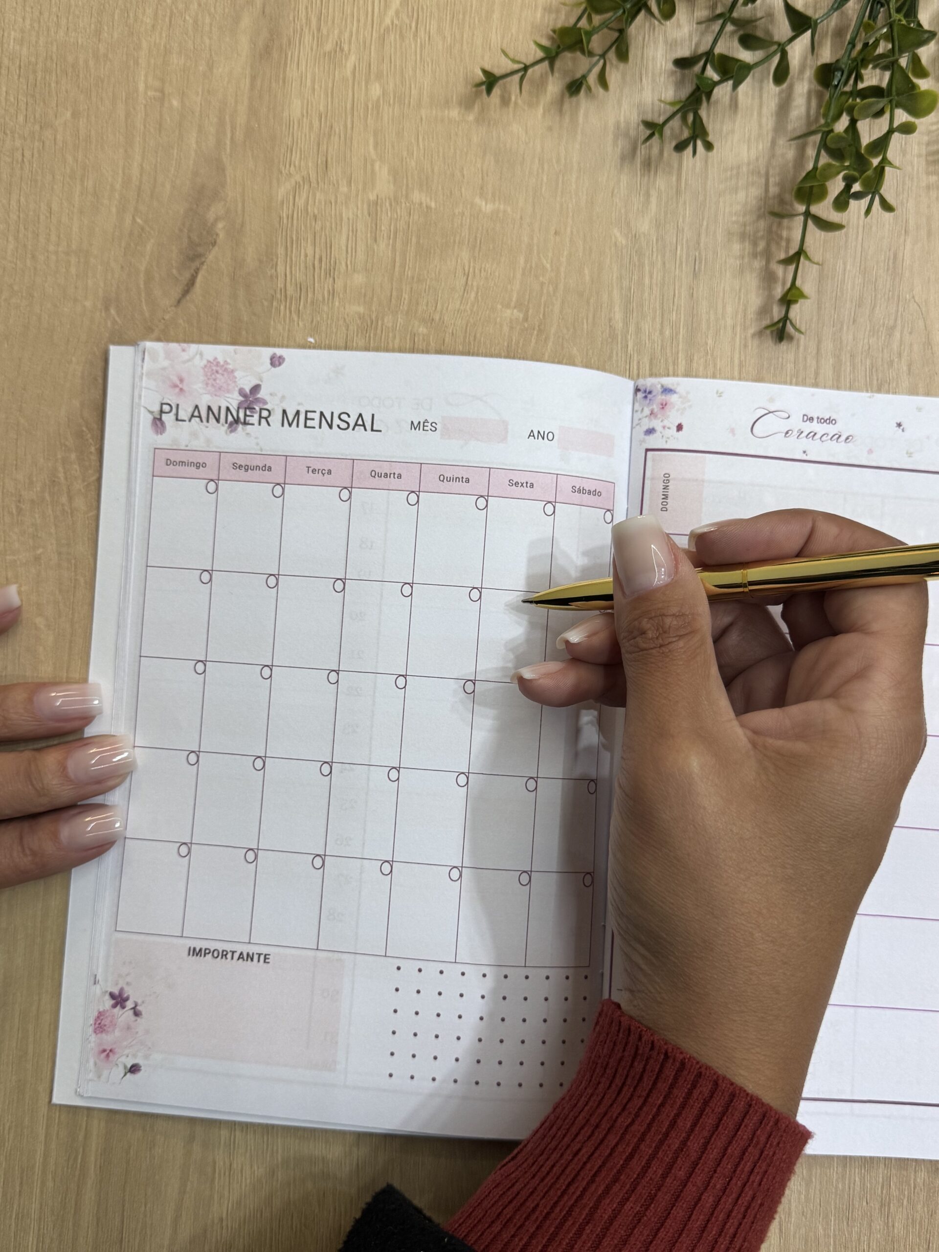 Planner Livreto Teocrático - Imagem 12